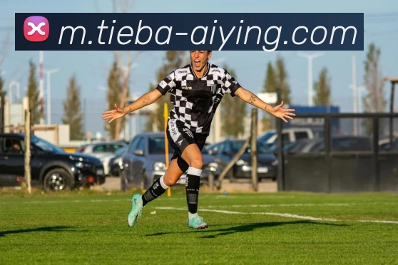 爱赢体育发展历程